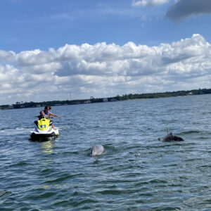 Navarre, Florida: A woman on a yellow Waverunner with two young kids points at two approaching Dolphins