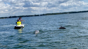 A woman on a yellow Waverunner with two young kids points at two approaching Dolphins