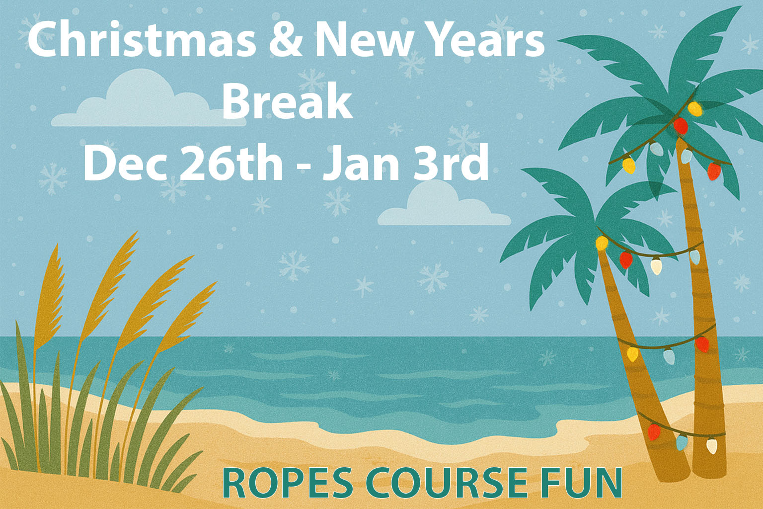 Christmas & New Year