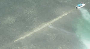 Healthy seagrass beds in Santa Rosa Sound near Navarre Florida showing clear shallow water and areas vulnerable to propeller damage